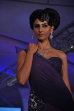 at Style statement jewellery show in Lalit Hotel, Mumbai on 5th Jan 2013 (190).JPG
